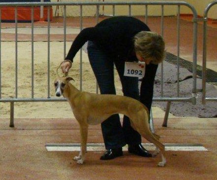 Moja - Bydgoszcz 2010