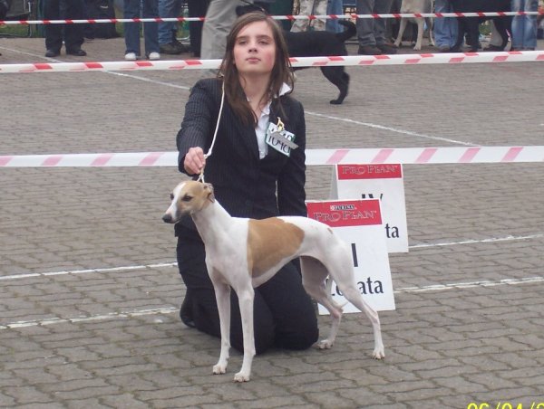 Sonia - Legionowo 2008