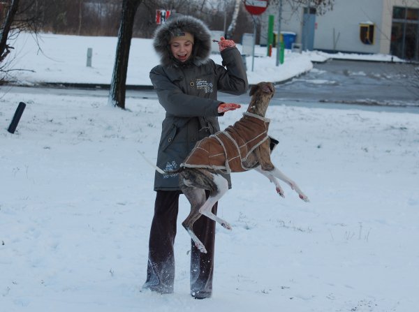 Zoranek i śnieg