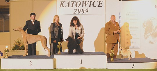 Katowice 2009